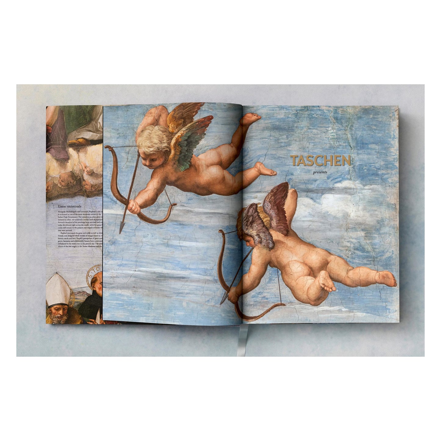 Raphael. The Complete Works. Paintings, Frescoes, Tapestries, Architecture (English) Book