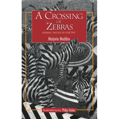 A Crossing of Zebras