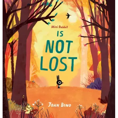 Mini Rabbit Is Not Lost