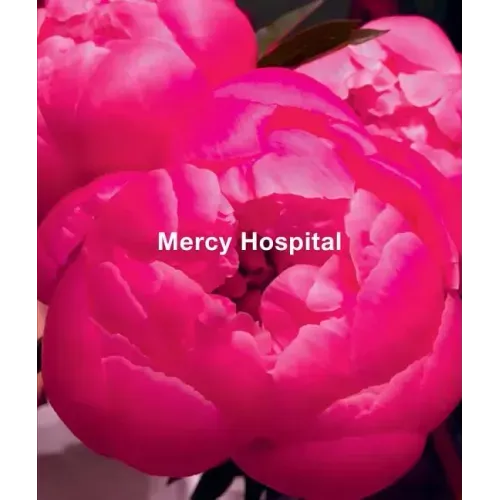 Ida Applebroog: Mercy Hospital