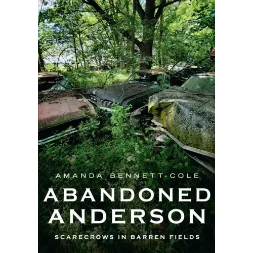 Abandoned Anderson, Indiana: Scarecrows in Barren Fields