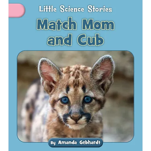 Match Mom and Cub