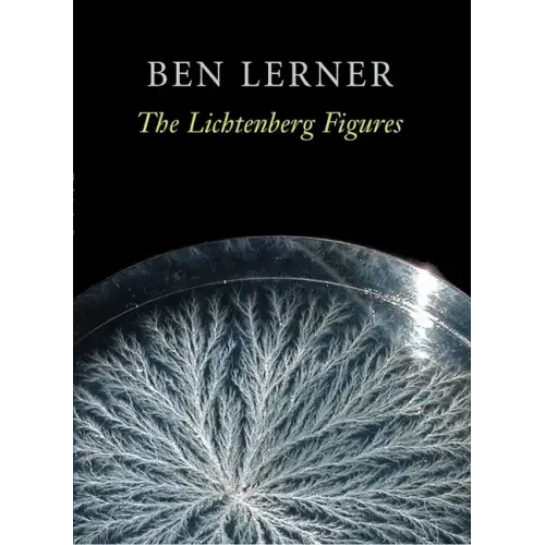 The Lichtenberg Figures