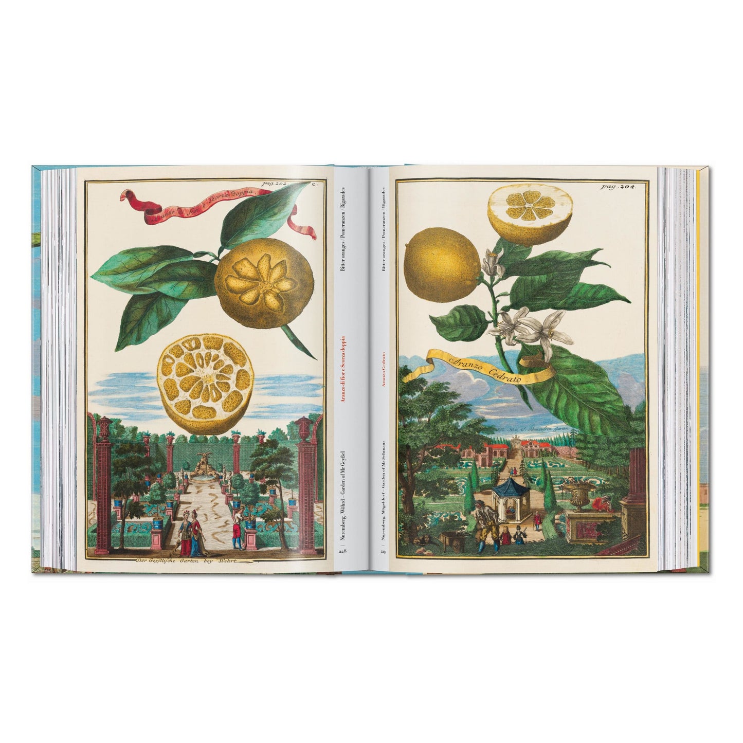 J. C. Volkamer. The Book of Citrus Fruits. 45th Ed. (German, French, English) Book