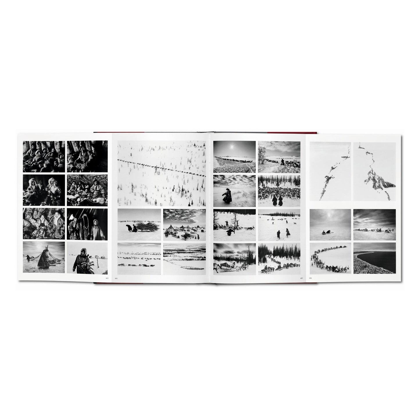 Sebastião Salgado. Genesis (English) Book