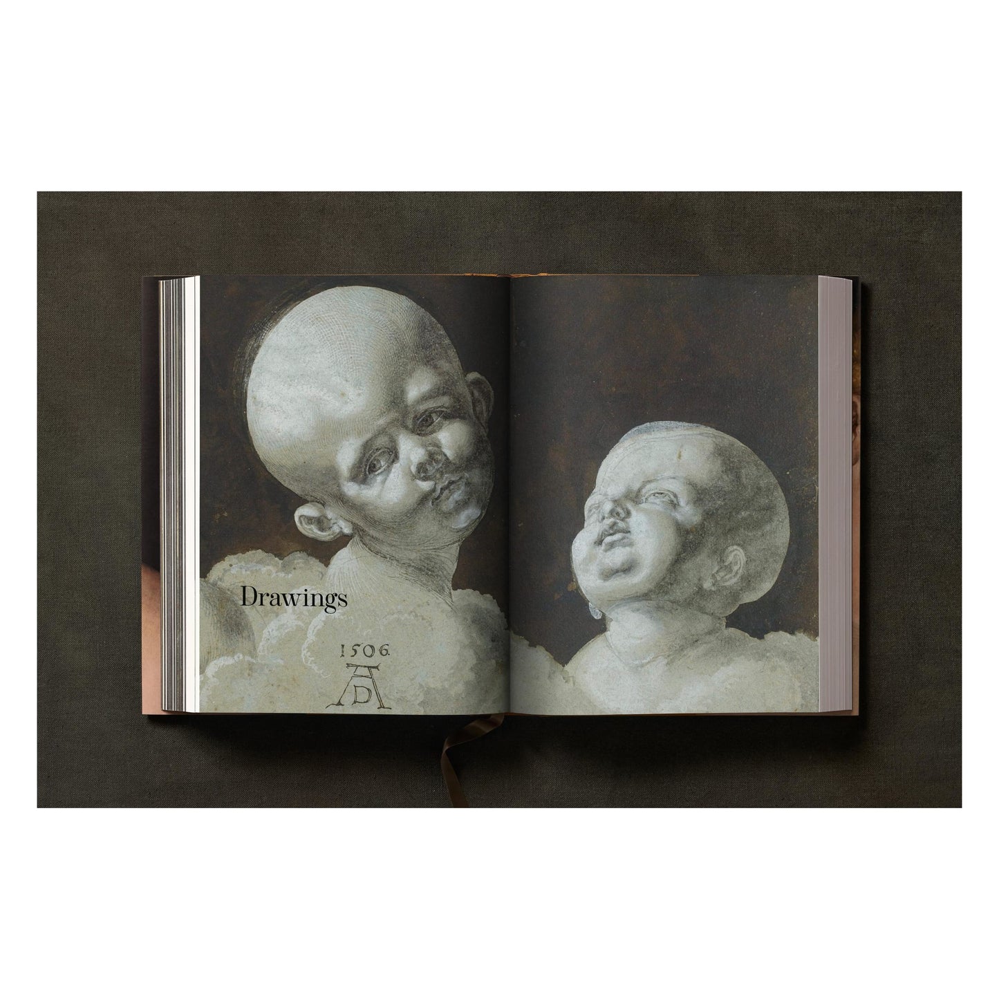 Albrecht Dürer. The Complete Paintings. Selected Drawings and Prints (English) Book
