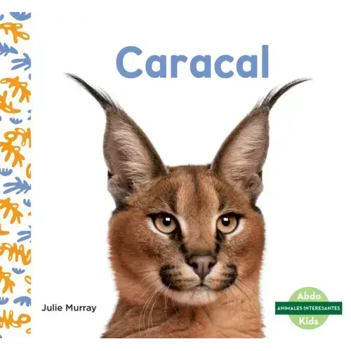 Caracal (Caracals)