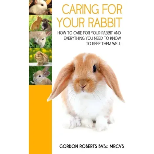 Caring For Your Rabbit: How to care for your Rabbit and everything you need to know to keep them well