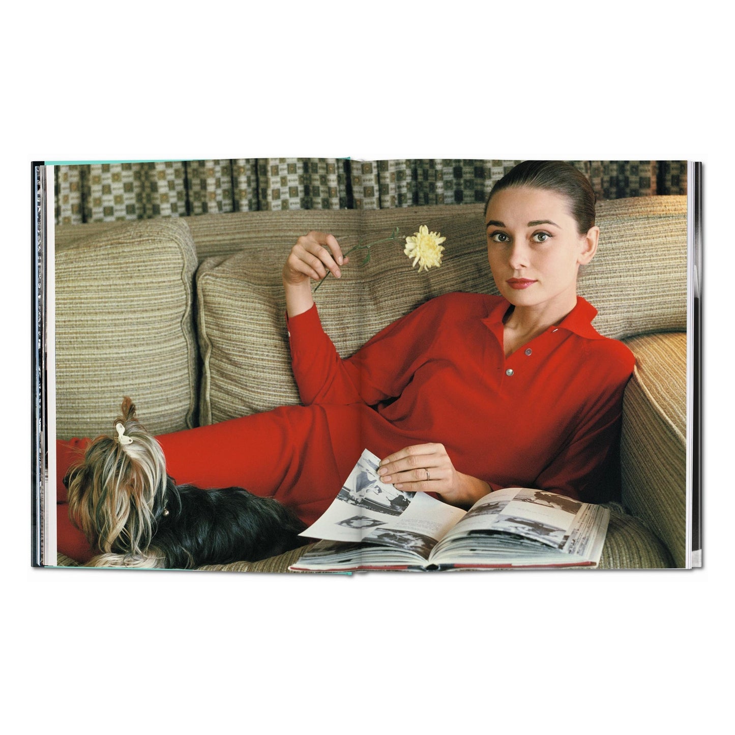 Bob Willoughby. Audrey Hepburn. Photographs 1953–1966 (German, French, English) Book