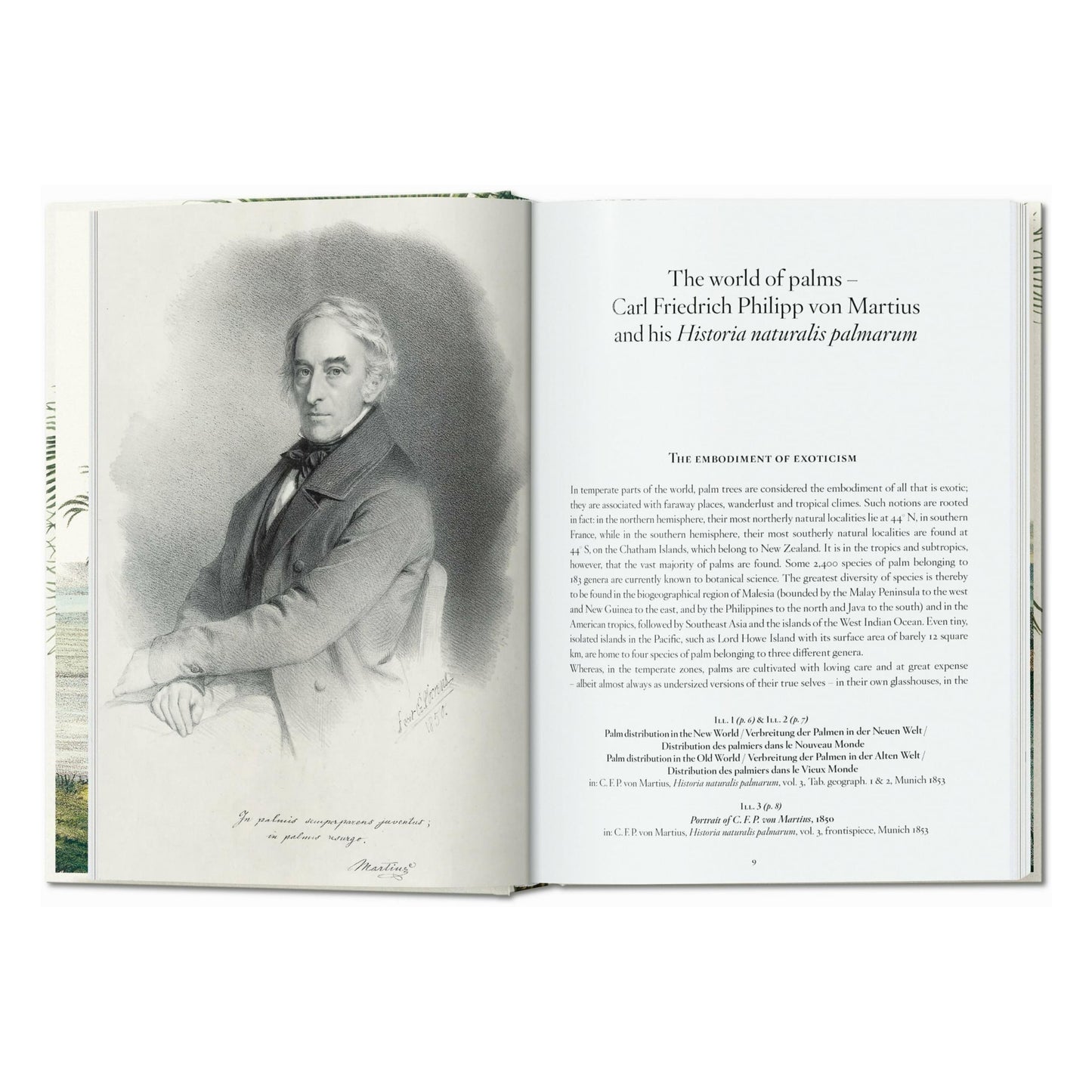 Martius. The Book of Palms. 45th Ed. (German, French, English) Book