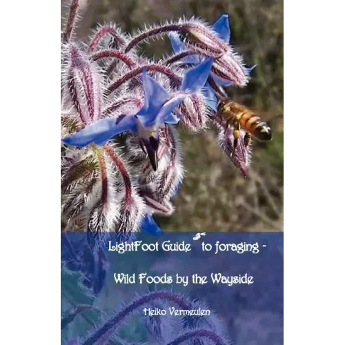 Lightfoot Guide to Foraging - Wild Foods by the Wayside