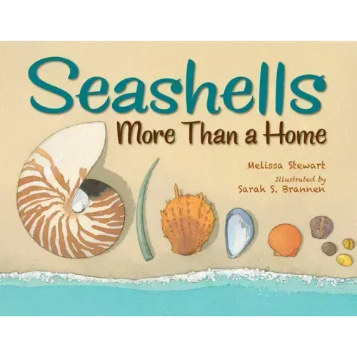 Seashells: More Than a Home