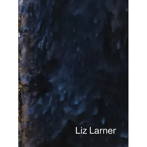 Liz Larner