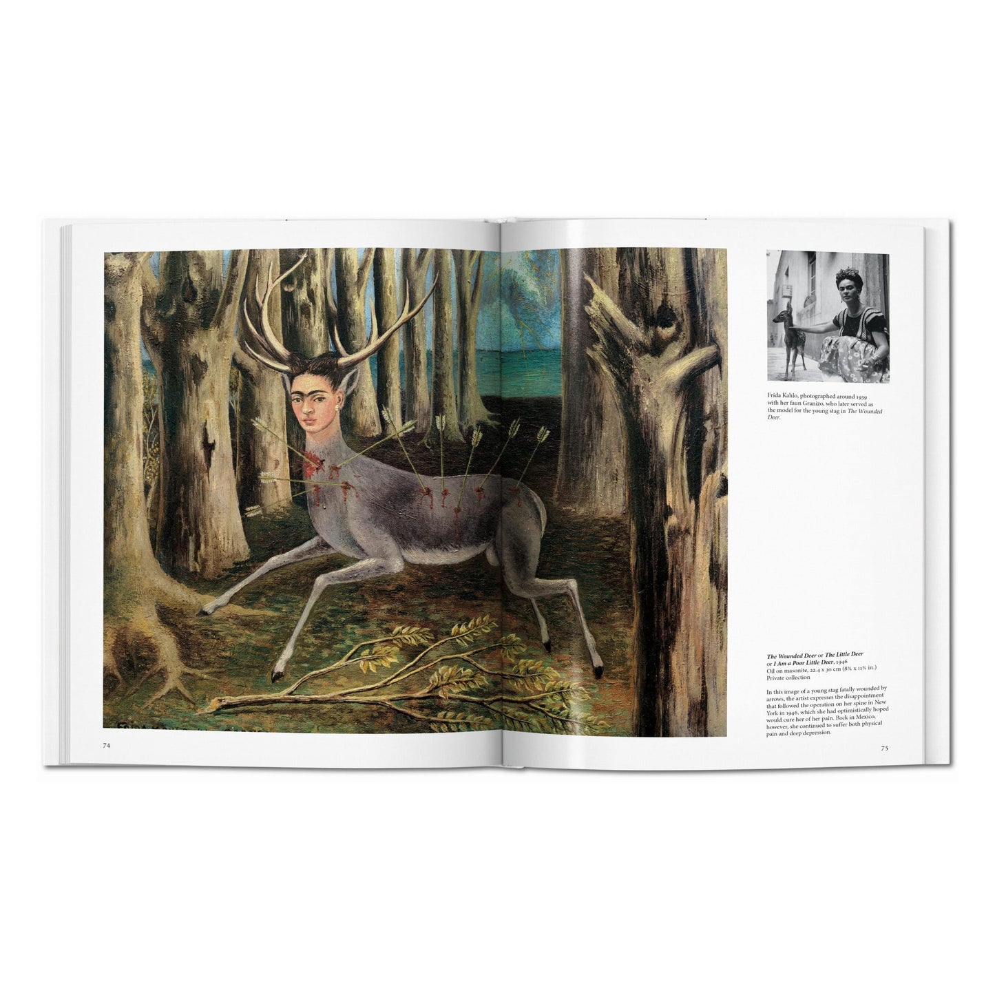 Frida Kahlo (English) Book