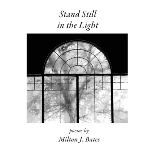 Stand Still in the Light