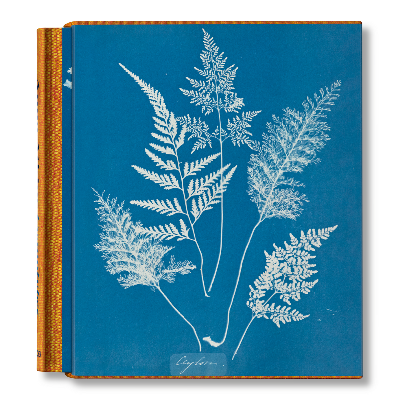 Anna Atkins. Cyanotypes (German, French, English) (FFE) Book