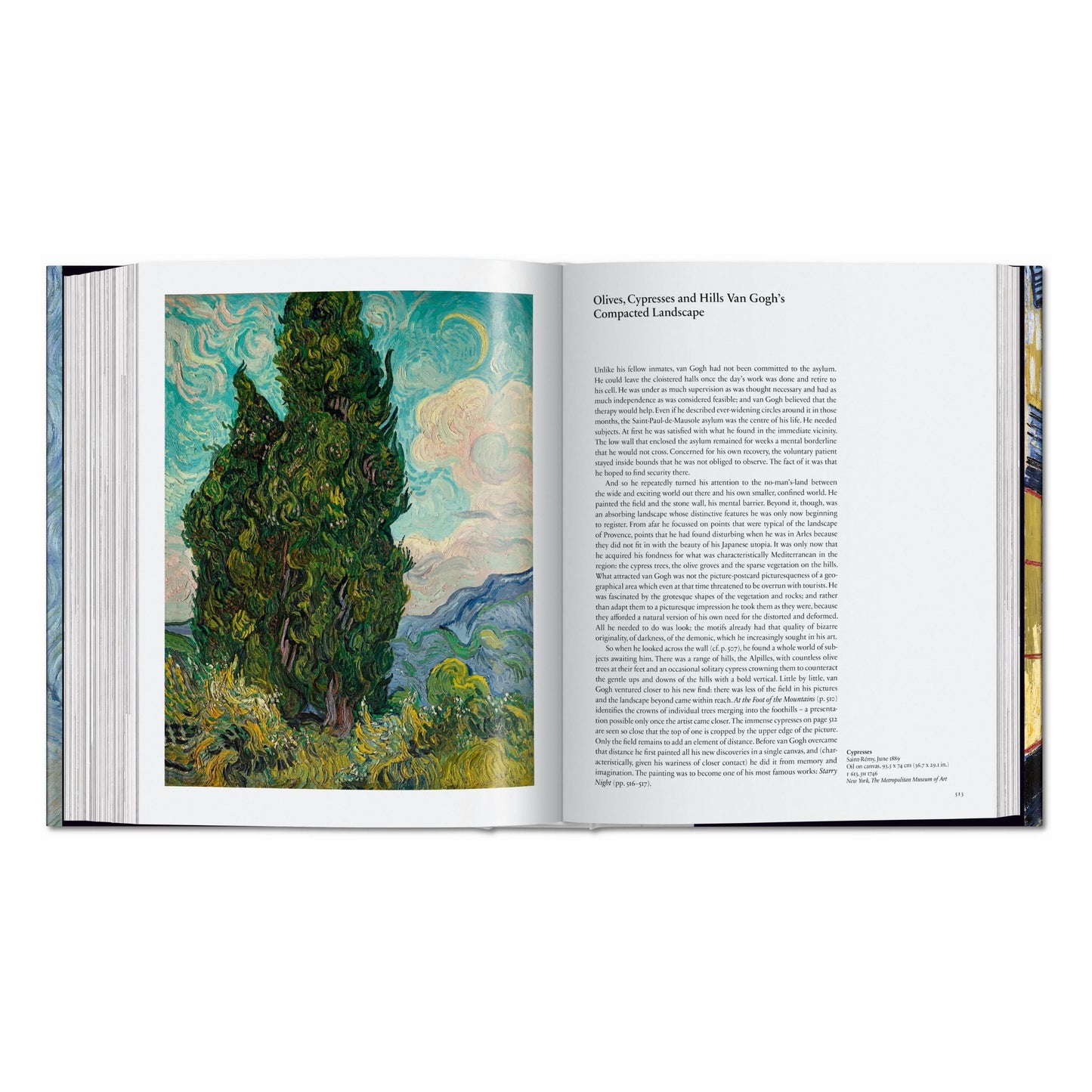 Van Gogh. The Complete Paintings (English) Book