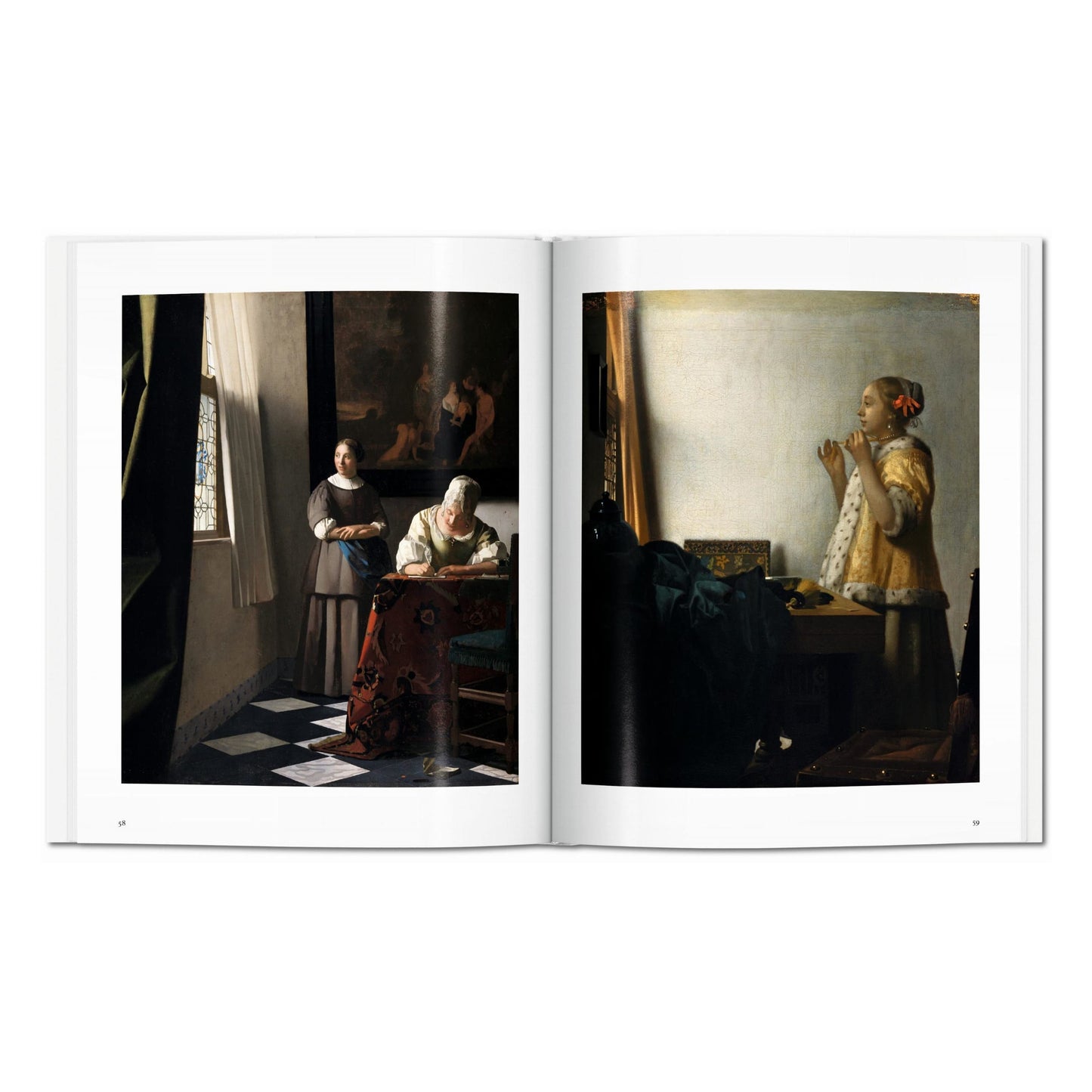 Vermeer (English) Book
