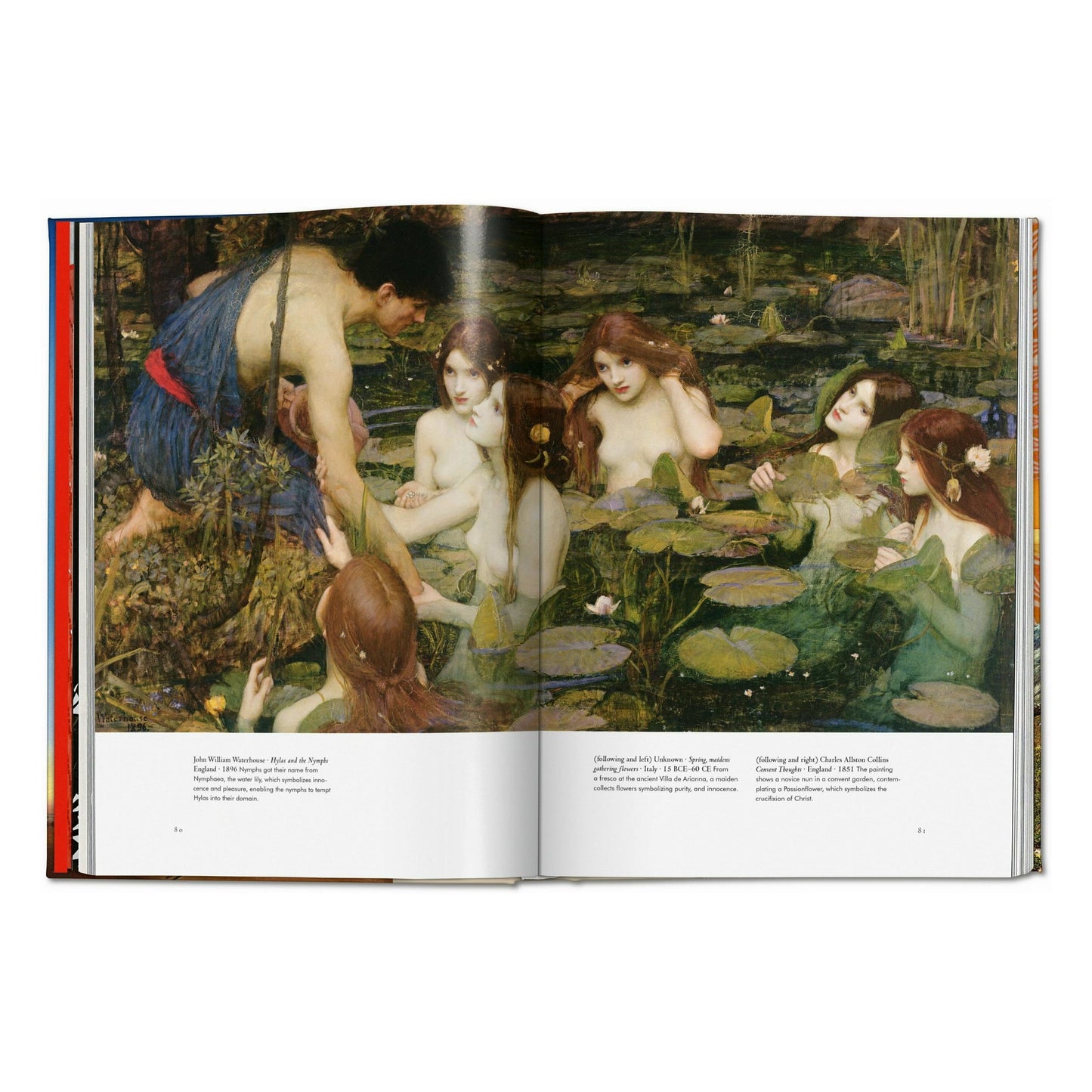 Plant Magick. The Library of Esoterica (English) Book