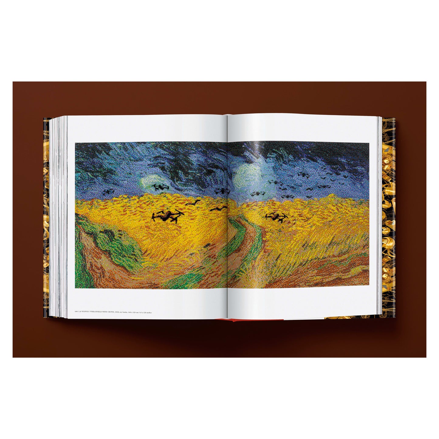Ai Weiwei. Updated Edition (German, French, English) Book