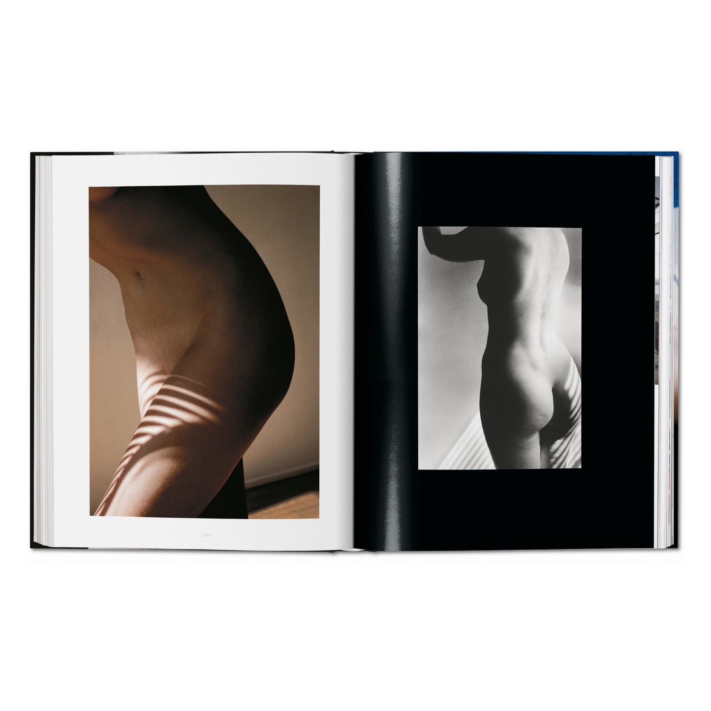 Ralph Gibson. Nude (German, French, English) Book