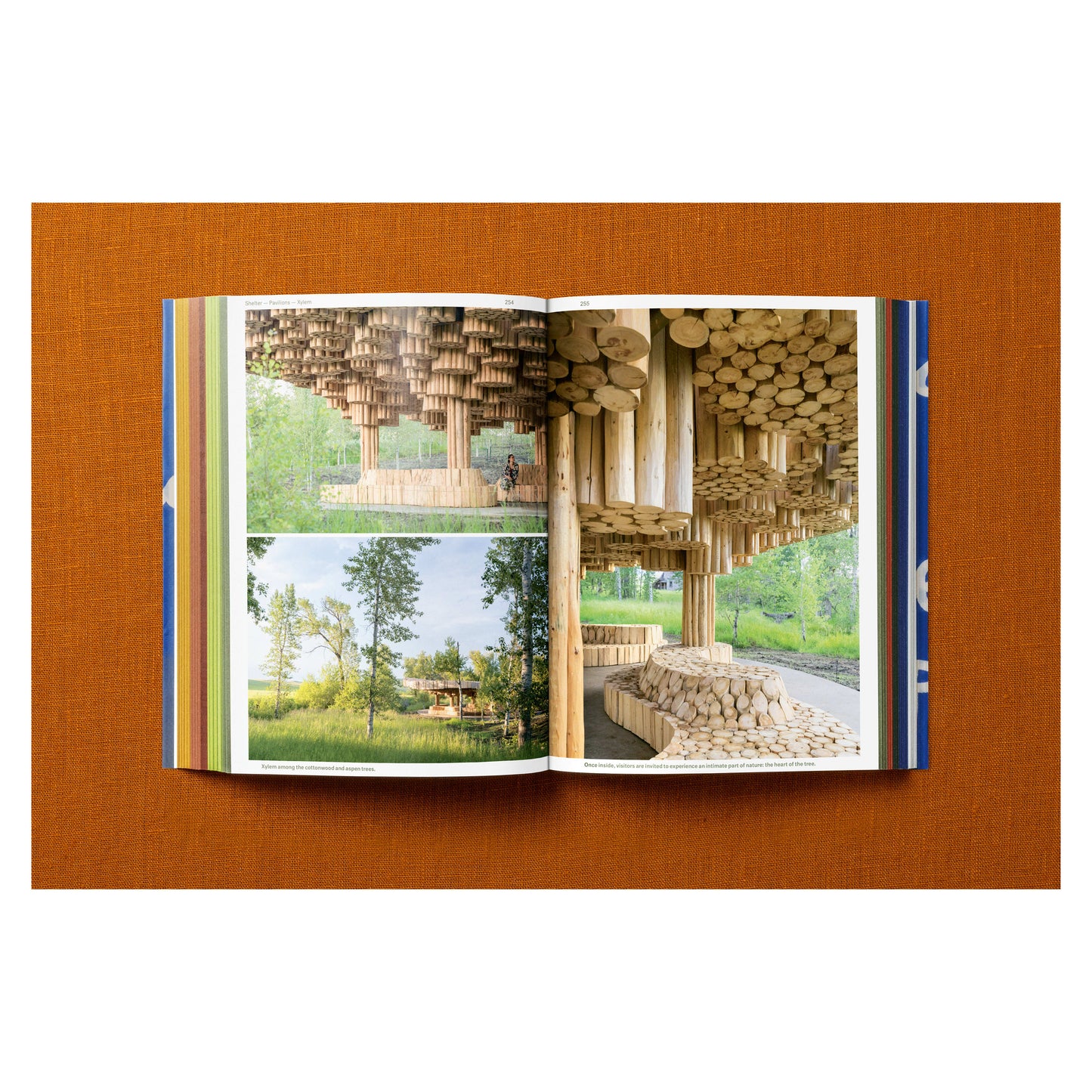 Francis Kéré. Building Stories (English) Book
