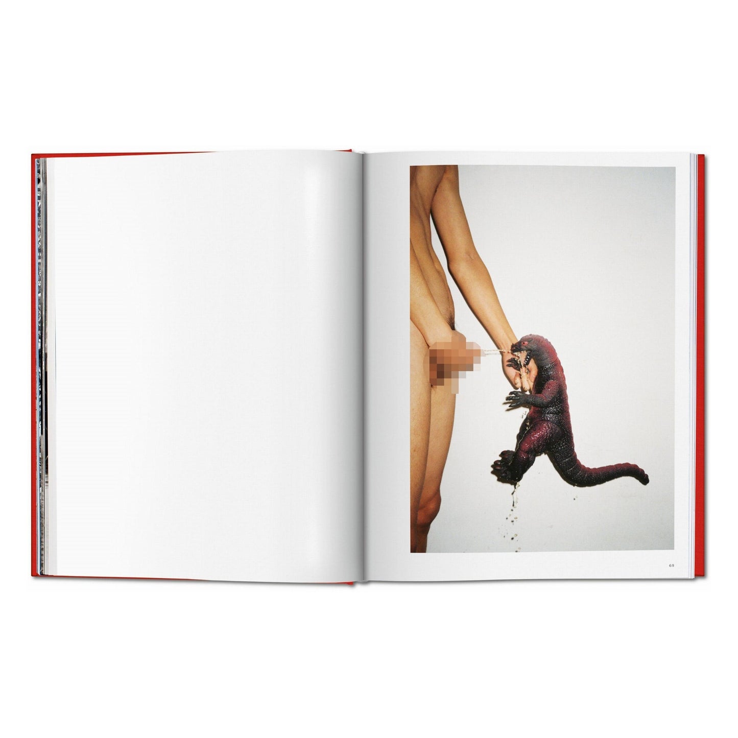 Ren Hang (German, French, English) Book