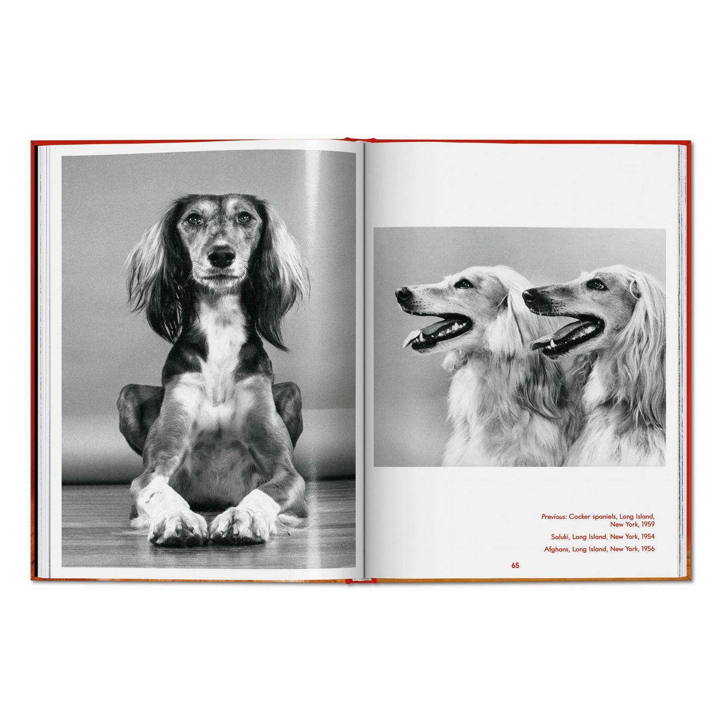 Walter Chandoha. Dogs. Photographs 1941–1991 (English) Book