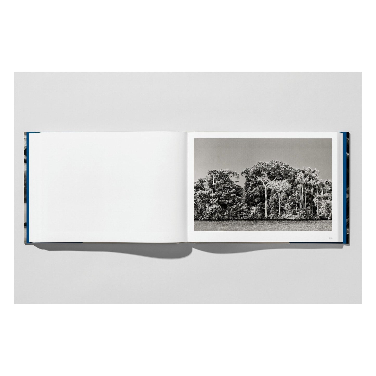 Sebastião Salgado. Amazônia (English) Book