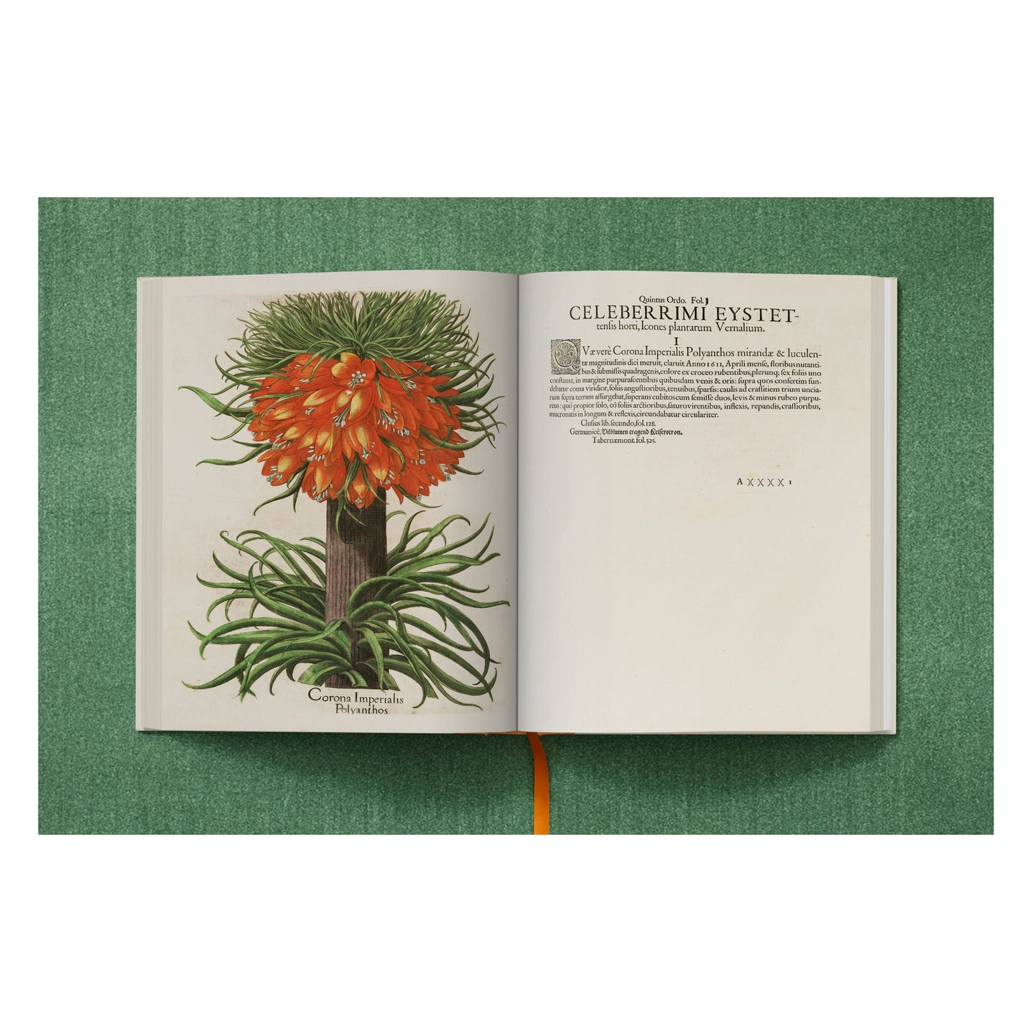 Basilius Besler. The Garden at Eichstätt (German, French, English) (FFE) Book
