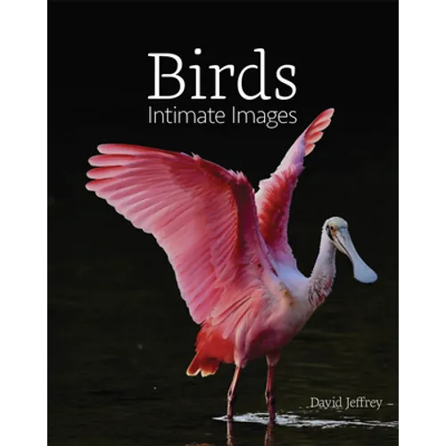 Birds: Intimate Images