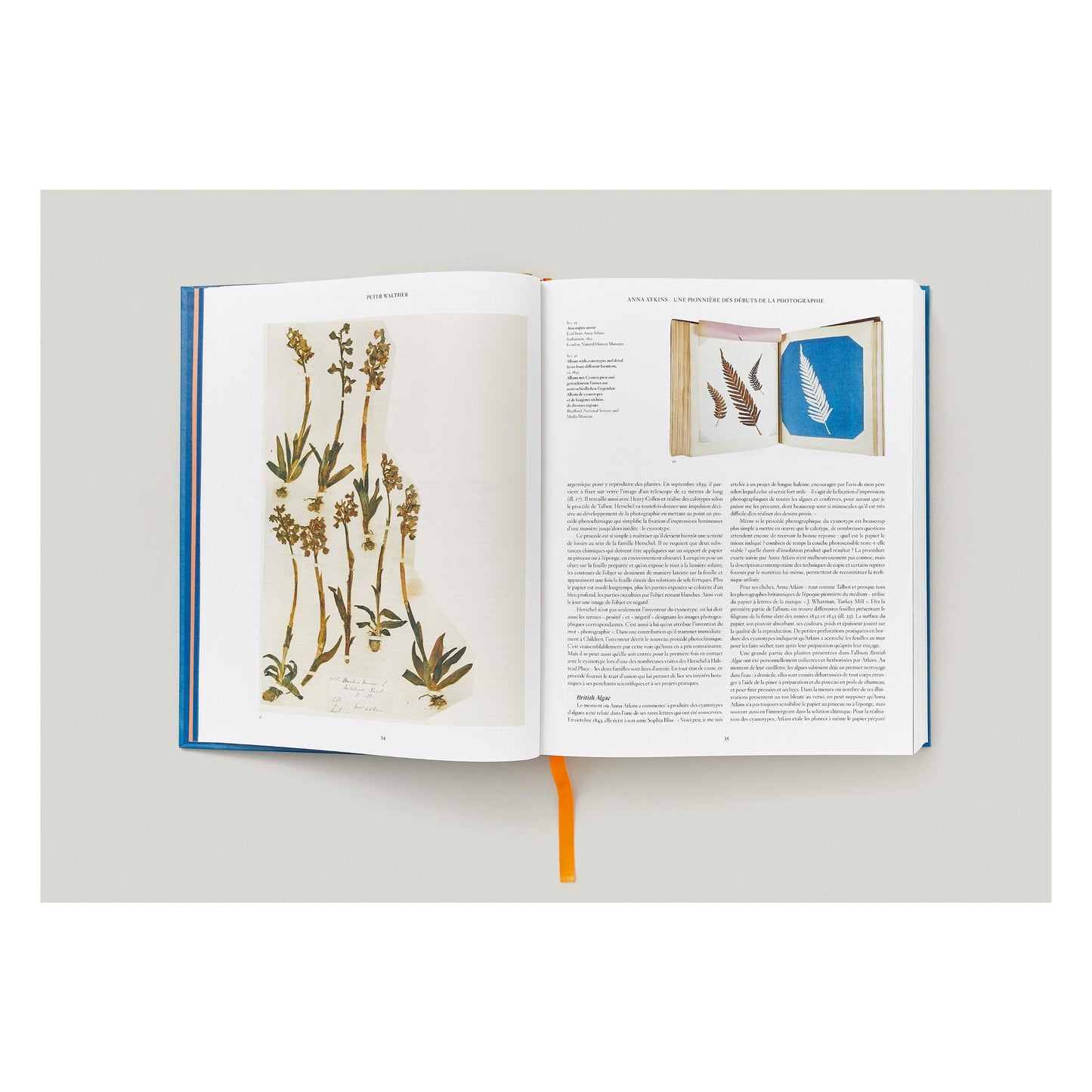 Anna Atkins. Cyanotypes (German, French, English) (FFE) Book