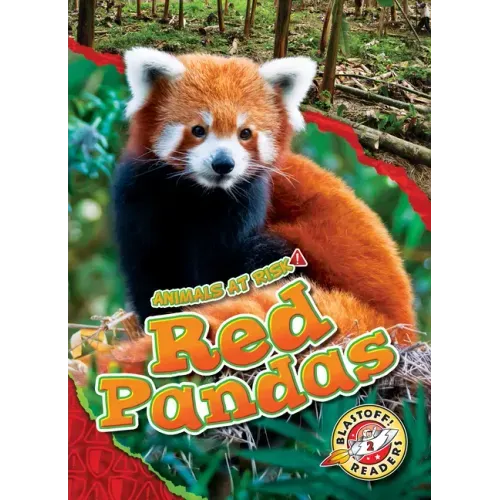 Red Pandas