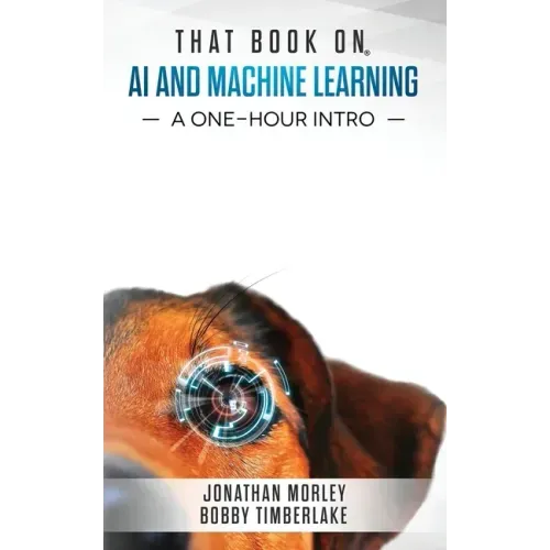 That Book on AI and Machine Learning: A One-Hour Intro