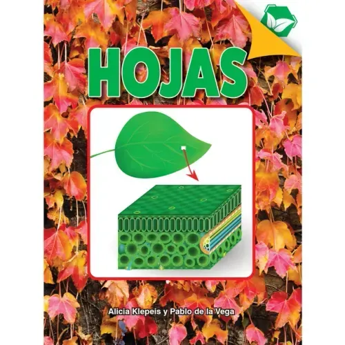 Hojas: Leaves