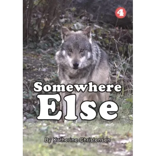 Somewhere Else