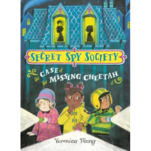 The Case of the Missing Cheetah