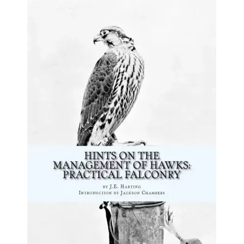 Hints on the Management of Hawks: Practical Falconry