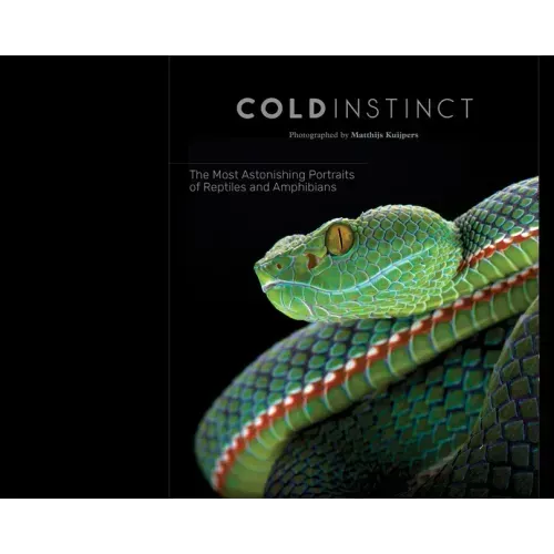 Matthijs Kuijpers: Cold Instinct