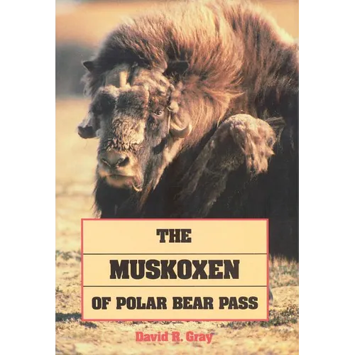 The Muskoxen of Polar Bear Pass
