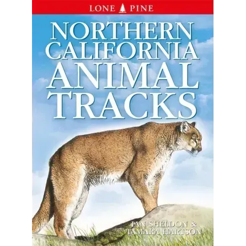 Northern California Animal Tracks