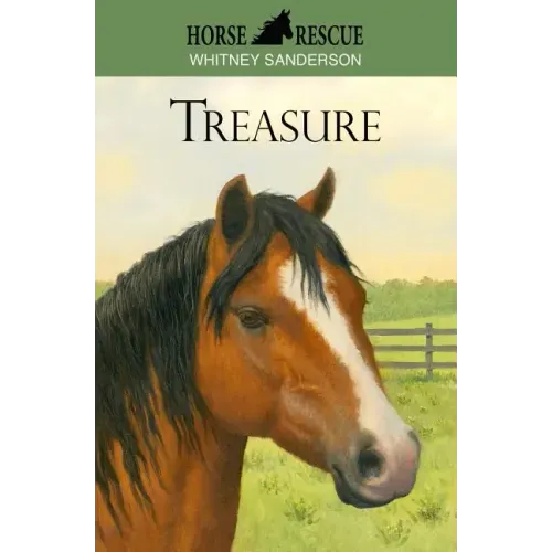 Horse Rescue: Treasure