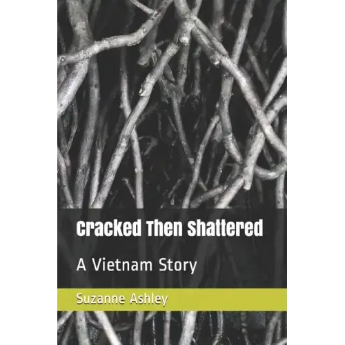 Cracked Then Shattered: A Vietnam Story