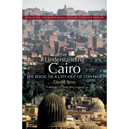 Understanding Cairo: The Logic of a City Out of Control