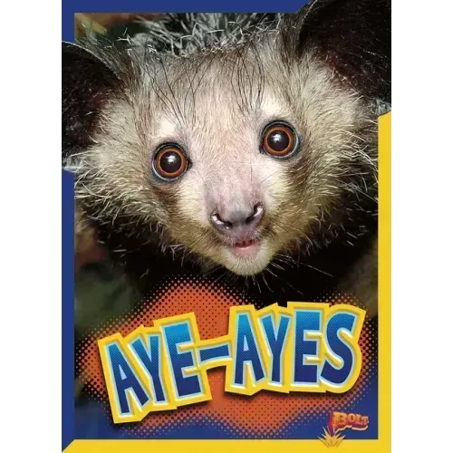 Aye-Ayes