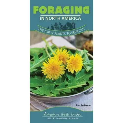 Foraging in North America: The Top 12 Plants to Seek Out