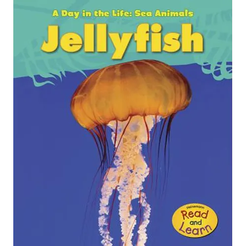 Jellyfish