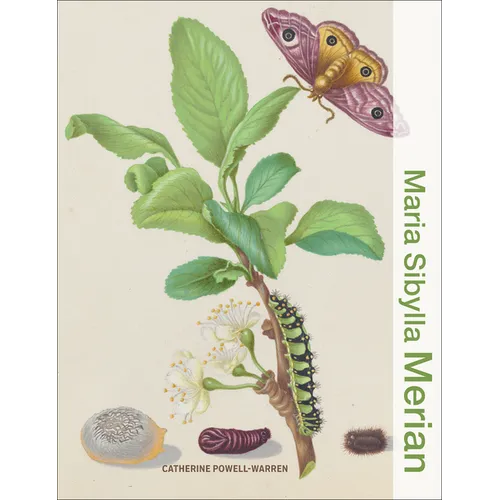 Maria Sibylla Merian