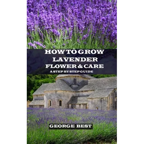 How to Grow Lavender Flower and Care: A Step by Step Guide