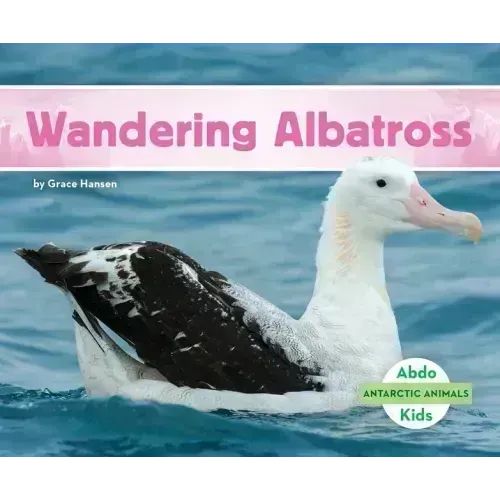 Wandering Albatross